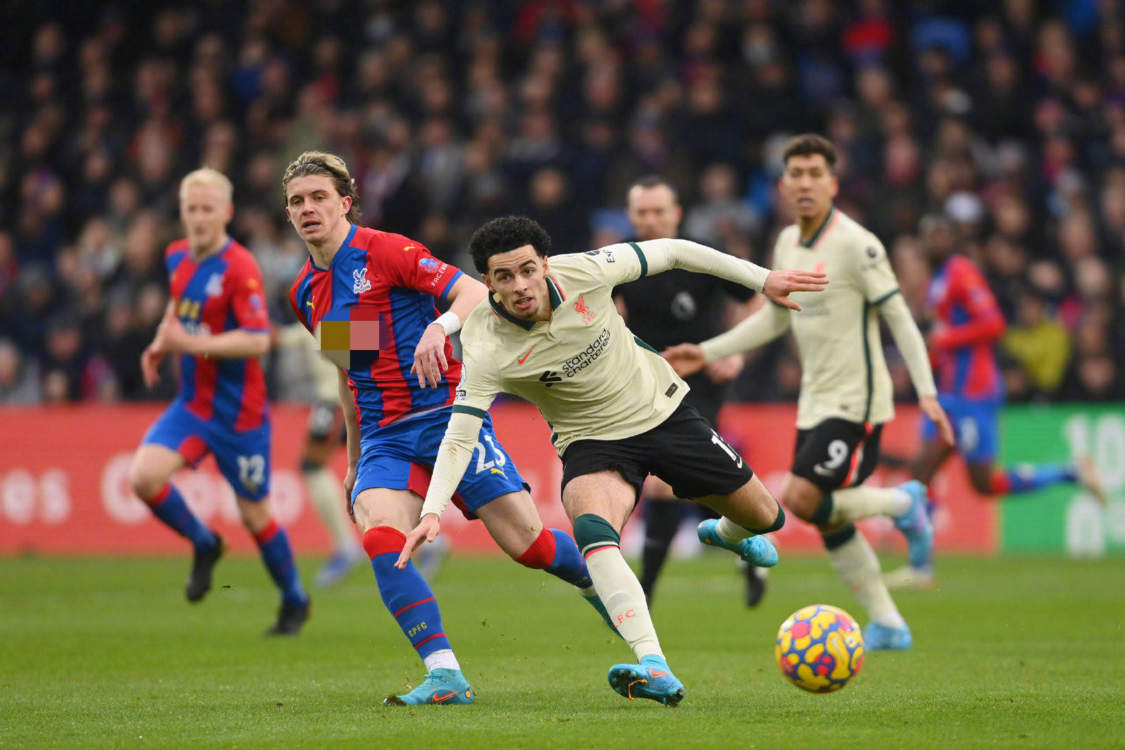 这种观察不 这种观察不